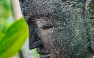 Chi-overload common side effects (FAQ) (Grounding)