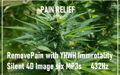 Remove Physical Pain Package – Pain Relief